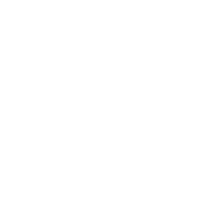 bola disco